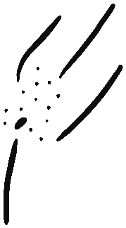 Image of the occurrence